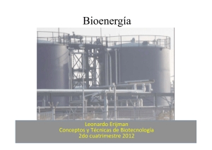 6.Bioenergi_a.pdf