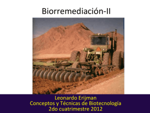 8. Bioremediación_2.pdf