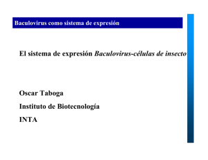 Taboga-Baculovirus 2012.pdf