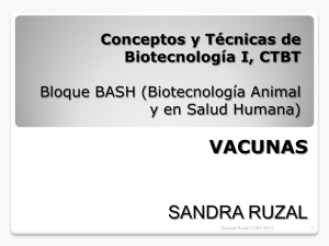 Vacunas-Ruzal-12.pdf