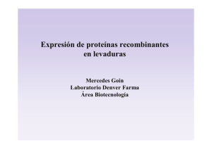 EXPRESION DE PROTEINAS EN LEVADURAS FCEN 2014 (alumnos).pdf