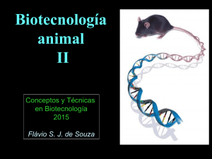 Clase Flavio - Biotech Animal 2015-II.pdf