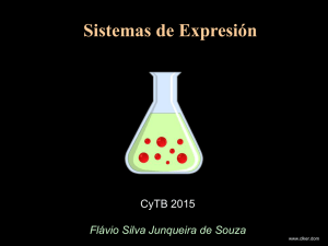 Clase Flavio - Sistemas Expresión - 2015.pdf