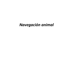 Teórica NAVEGACIÓN.pdf