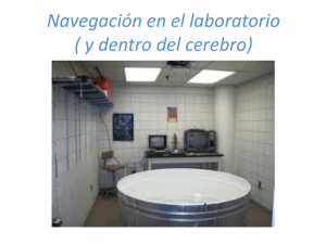 NAVEGACIÓN EN LABORATORIO.pdf