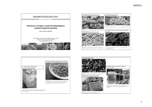 Clase 9 Resistencia a hongos AGBT 2015 BYN.pdf