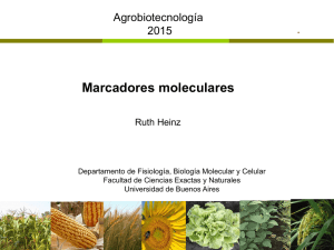 Clase 14 2015 Marcadores moleculares fondo blanco.pdf