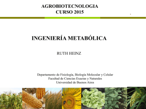 Clase 21 2015 Ingenier&iacute;a Metabolica fondo blanco.pdf