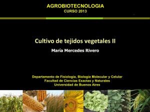 Teo II Cultivo de tejidos MRivero AGBT 2013.pdf