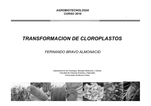 Clase 5 Transformacion de cloroplastos AGBT2015.pdf
