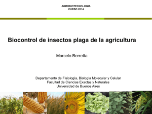 Clase 11 AGBT 2015 Biocontrol de insectos.pdf