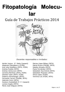 GuiaTP-FM2014.pdf