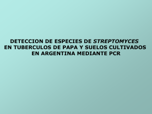 Streptomyces.pdf