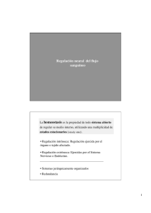 Teórica 15. Regulacion neural del flujo sanguíneo.pdf