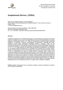 Anaplasmosis Bovina ( CENSA)  Agrovet Market Animal Health Investigación en Salud Animal