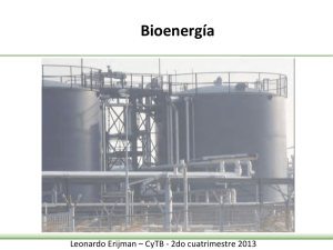 6. Bioenergi_a.pdf