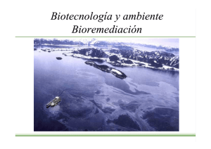 Erijman_bioremediacion.pdf
