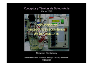 Mentaberry 5 Metabol. 2arios en Biorreactores.pdf