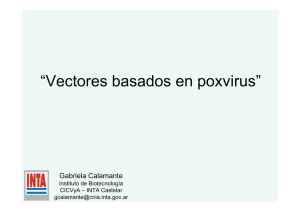 clase POX 2013 - Calamante.pdf