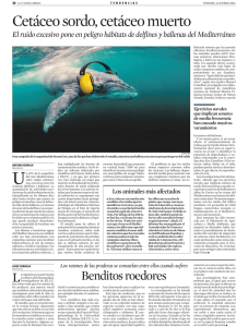 La Vanguardia 2016-01-22 cetáceo sordo, cetáceo muerto