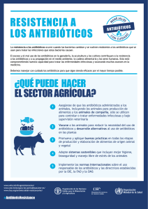Resistencia a los antibióticos: ¿Qué puede hacer el sector agrícola? pdf, 208kb