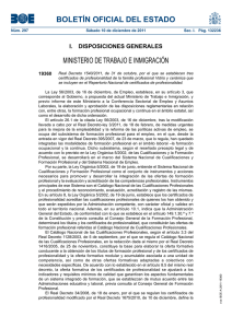 R.D.1540-2011 Certifc Profes Vidrio