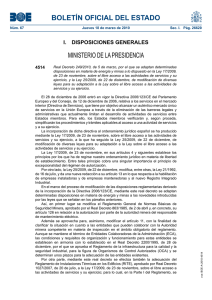 R.D.249 2010 Directiva servicios Minas y energia