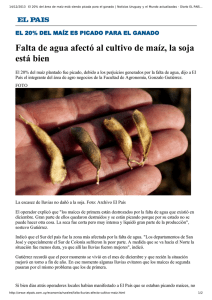 Falta de agua afectó al cultivo de maíz, la soja está bien. El País 14-12-2013