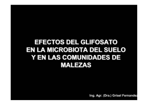 … glifosato en la microbiota …