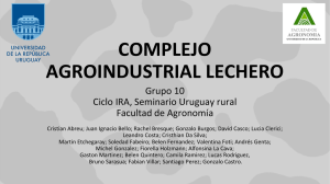 COMPLEJO AGROINDUSTRIAL LECHERO Grupo 10 Ciclo IRA, Seminario Uruguay rural