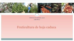 Fruticultura de hoja caduca URUGUAY RURAL 2016 GRUPO 2