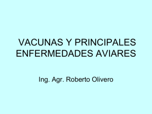 VACUNAS Y PRINCIPALES ENFERMEDADES AVIARES  Ing. Agr. Roberto Olivero