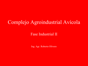Complejo Agroindustrial Avícola  Fase Industrial II Ing. Agr. Roberto Olivero