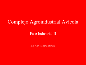 Complejo Agroindustrial Avícola  Fase Industrial II Ing. Agr. Roberto Olivero