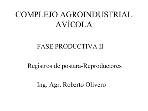 COMPLEJO AGROINDUSTRIAL AVÍCOLA  FASE PRODUCTIVA II