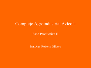 Complejo Agroindustrial Avícola  Fase Productiva II Ing. Agr. Roberto Olivero