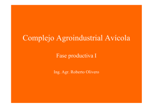 Complejo Agroindustrial Avícola Fase productiva I Ing. Agr. Roberto Olivero