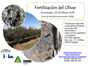Fertilización del Olivar  Montevideo, 23-26 febrero 2016