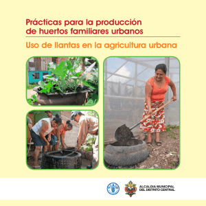 Prácticas para la producción de huertos familiares urbanos ALCALDIA MUNICIPAL