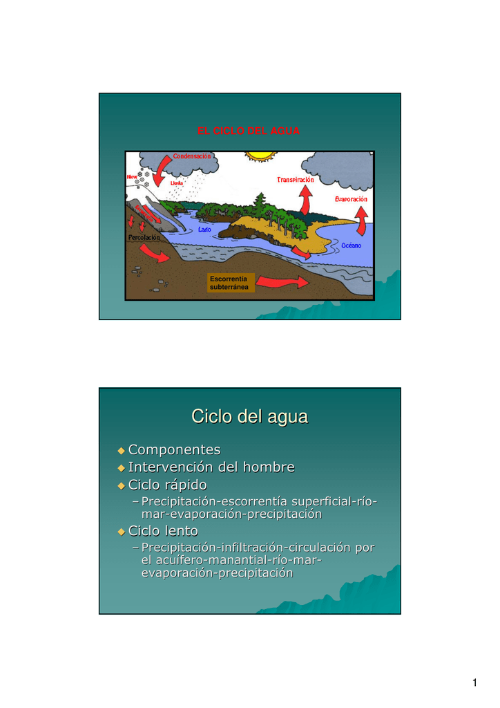 Ciclo Del Agua.pdf