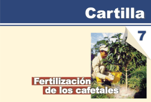 Fertilizacion de cafetales