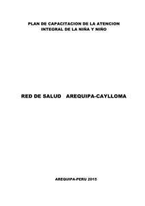 Plan De Capacitación Niño Red Arequipa Caylloma 2015