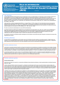 BCG pdf, 184kb