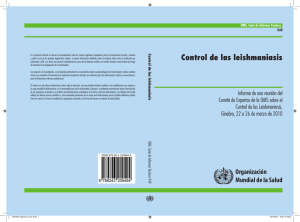 19 May 2013 | Geneva [pdf 2Mb]