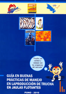 Publicación dirigida a productores de trucha del Lago Titicaca, con el fin de que puedan mejorar la calidad y volumen de su producción. Documento elaborado en el marco del proyecto