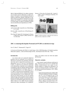 pro36.pdf