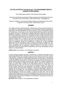 http://www.ilustrados.com/documentos/cultivo-in-vitro-trichoderma-3112010.pdf