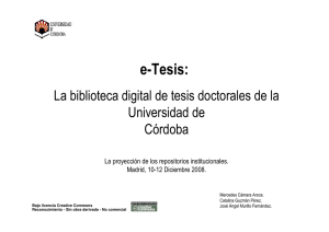 e-Tesis Madrid2008.pdf