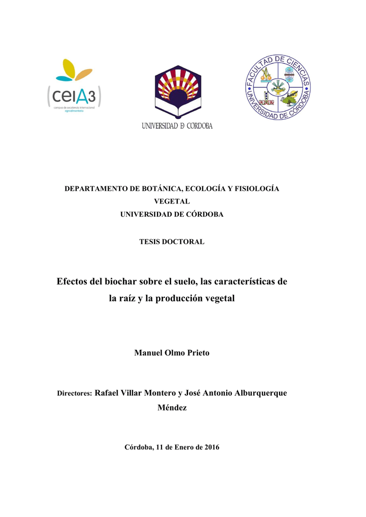 L/ámpara de germinaci/ón UV-C.