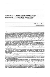 braco121_1991_3.pdf